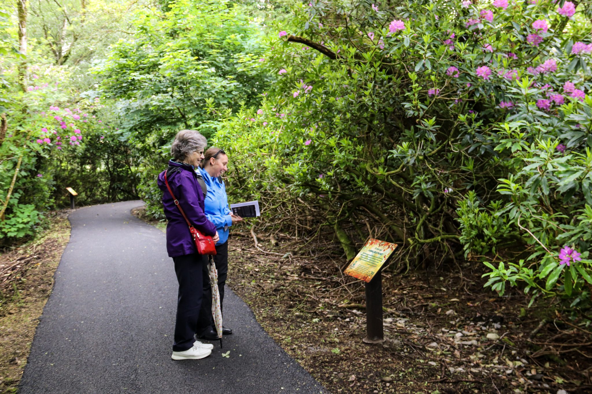 Photos From The Launch Of The New Creation Walk At Knock Shrine On